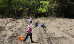Dünyanın tek halka açık elmas parkında şansınızı deneyin! Arkansas’taki devlet parkı elmas avcılarını bekliyor