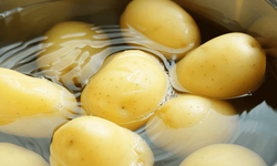 Patates haşlarken yapılan bu hata her şeyi bozuyor! Meğer dağılmasının nedeni buymuş