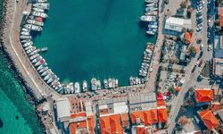 İzmir’in zeytin ve enginar cenneti! İstanbul’dan evini toplayanlar buraya yerleşiyor