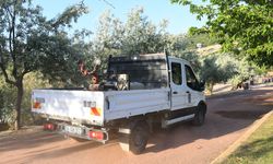 Kuşadası yaz sezonuna hazırlanıyor: Haşerelere karşı amansız mücadele