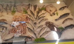 Orkinos, palamut, vatoz… İzmir'in üç ilçesinde 840 kilo kaçak balık ele geçirildi