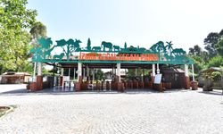 İzmir Doğal Yaşam Parkı Kurban Bayramı’nda ziyaretçilere kapılarını açıyor! İşte giriş ücretleri ve saatleri