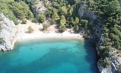 Çam ormanlarıyla çevrili Muğla’nın en sakin koyu! Cam gibi denizi, tertemiz doğasıyla cezbediyor