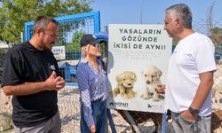Ajda Pekkan’dan hayvan haklarına duygu dolu destek