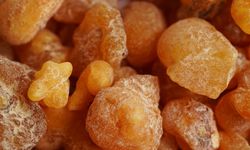 İltihap kurutucu etkisiyle doğal bir antibiyotik: Geniz akıntısını geçiren, bağışıklığa destek doğal şifa!
