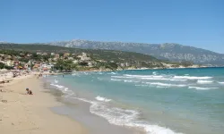 Ne Çeşme ne Urla! İzmir’de metrelerce kum, sığ deniz: Çocuklu aileler buraya çünkü şemsiyeler bile ücretsiz