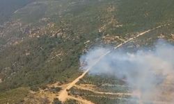 İzmir Foça'daki orman yangını kontrol altına alındı
