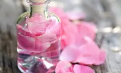 Herkesin evinde olmalı! Gül suyunun güzellik rutinindeki şaşırtan etkileri: Parlaklık, nem ve kepek için doğal destek