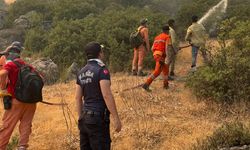 Manisa’da sıcaklar artıyor, yangın tehlikesi korkutuyor