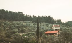 Organik ürünleriyle Ege'nin keşfedilmeyi bekleyen saklı cenneti: Doğasıyla adeta unutulmaz bir tatil vadediyor!