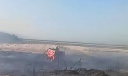 Söke’de buğday tarlasındaki yangın korkuttu