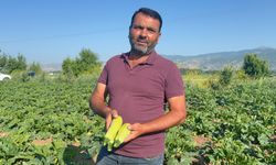 Çiftçiden alkışlanacak hareket: Vatandaşlar takdir etti