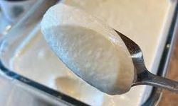 Ne süt ne şeker: Hem bağışıklık sistemini destekliyor hem de sindirimi kolaylaştırıyor: Evde vegan yoğurt nasıl yapılır?