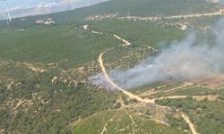 Foça'da orman yangını: Ekipler seferber oldu
