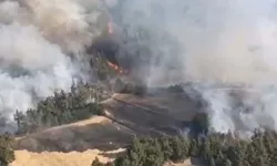 Balıkesir'de orman yangını!  Ekipler yangına müdahale ediyor!