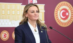 CHP’li Ösen’den Ege Vekillerine soru: “Zeytin ağaçlarının kesilmesine onay verecek misiniz?”
