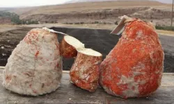 Anadolu’nun 1000 yıllık lezzeti! Her gramı şifa deposu peynir! Yurt dışından kilo kilo alıyorlar!