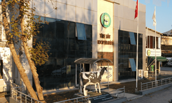 Orman yangınları İzmir’i yaraladı, Tire Süt Kooperatifi elini uzattı