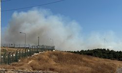 Urla'da dumanlar yükseliyor: Ekipler müdahaleyi sürdürüyor