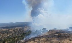 Ayvacık'ta orman yangını alarmı: Müdahale devam ediyor