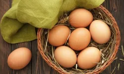 Salmonella alarmı: 134 kişi enfekte oldu, 20 milyon yumurtaya geri çağrı