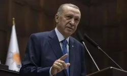 Erdoğan’dan Avusturya Başbakanı ile kritik görüşme