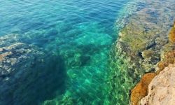 Küçücük bir koy ama talibi çok! Doğal güzellikleri ve temiz deniziyle Çanakkale'nin en gözde tatil yeri...