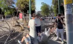 Aniden devrilen ağaç korku dolu anlar yaşattı!