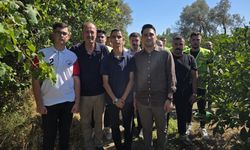 Ülkü Ocakları’ndan Seferihisar’da ağaçlandırma hamlesi