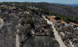 Orman yangınları İzmir’i korkuttu: Sigorta yaptırmayanlar risk altında olabilir