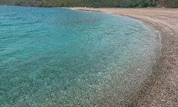Cam gibi berrak deniz, sakin koy! İzmir’in en saf ve en temiz denizi burada! Şehir gürültüsünden uzak, sakinliğin adresi