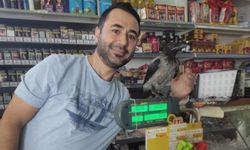 Karga ile bakkalın bir parkta başlayan dostluğu