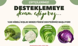 Çiftçilere müjde: Kışlık fide desteği başlıyor