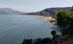 350 caretta caretta yavrusu denizle buluştu! Doğanın mucizesi yeniden hayat buldu