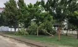 Şiddetli rüzgar tehlike saçtı: Yurt bahçesine çatı parçaları savruldu
