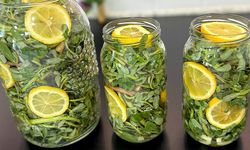 Tam bir omega-3 kaynağı: Semizotundan turşu olur mu demeyin! İşte şahane lezzetin sırrı