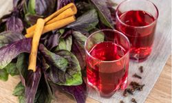 Sindirim problemlerine birebir! Yazın aromasıyla mest eden, soğuk soğuk ferahlatan, en çok tercih edilen içeceği