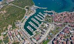 Ormanlar küllerinden doğacak: Seferihisar dayanışma için bir arada