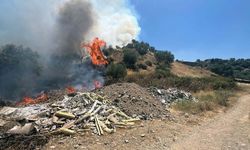 Turgutlu'da tarım arazisinde yangın: Ekipler hızla müdahale etti