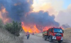 Tekirdağ’da orman yangını: Sofuköy Mahallesi tahliye ediliyor
