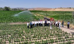 Balıkesir tarımında yeni dönem: Modern sulama sistemi hayata geçti