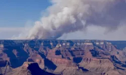 Arizona’daki orman yangını hızla yayılıyor: 500 kişi tahliye edildi!