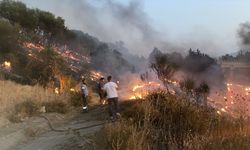 Park halindeki araç alev topuna döndü: Görenler şokta!