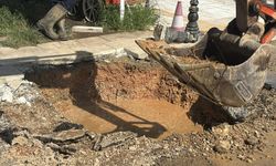 Denizin rengi bir anda kahverengiye döndü! İşte nedeni...