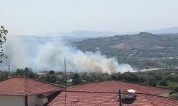 Bartın'da orman yangını evleri tehdit etti