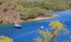 Kavurucu yaz sıcağından kaçış: Doğanın kucağında, masmavi deniz ve bitmek bilmez yeşilliklerle dolu huzurlu tatil yeri!