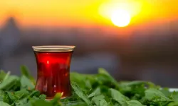 40 yıllık çaycının sakladığı tarif: Tavşan kanı çayın sırrı açığa çıktı