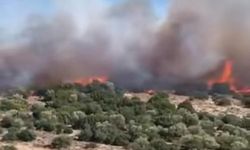 İzmir Aliağa'da yangın alarmı! Ekipler müdahale ediyor