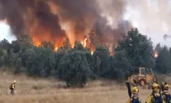 Alevler büyüyor! İspanya’daki orman yangınlarında ölü sayısı 3’e yükseldi