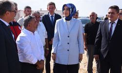 Vali Kübra Güran Yiğitbaşı tarım bölgesinde incelemelerde bulundu!